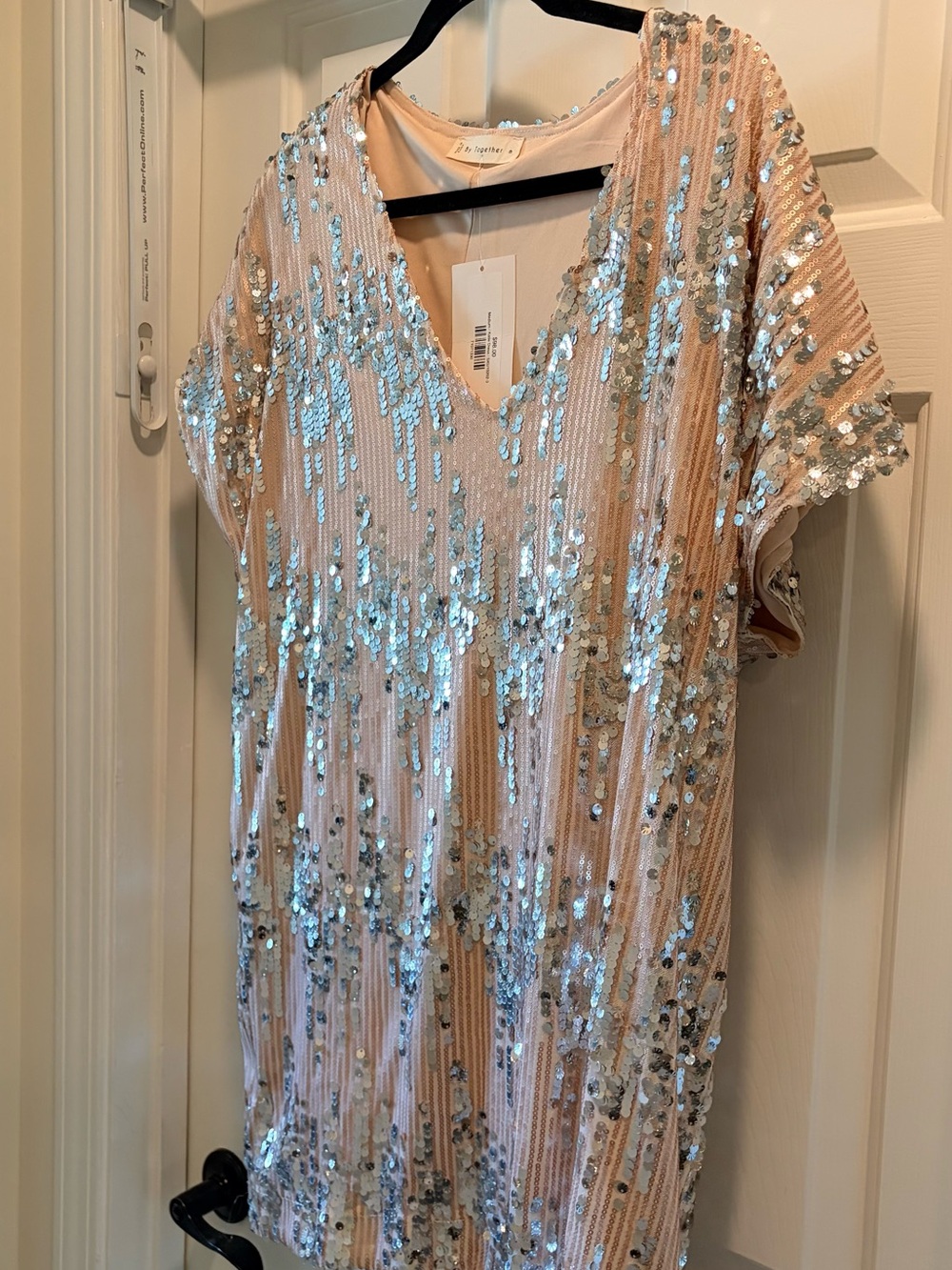 Sequin Embellished Blush Mini Dress